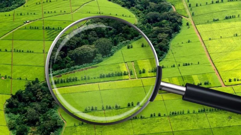 Ипотека на землю ИЖС: условия и особенности — Всеостройке.рф