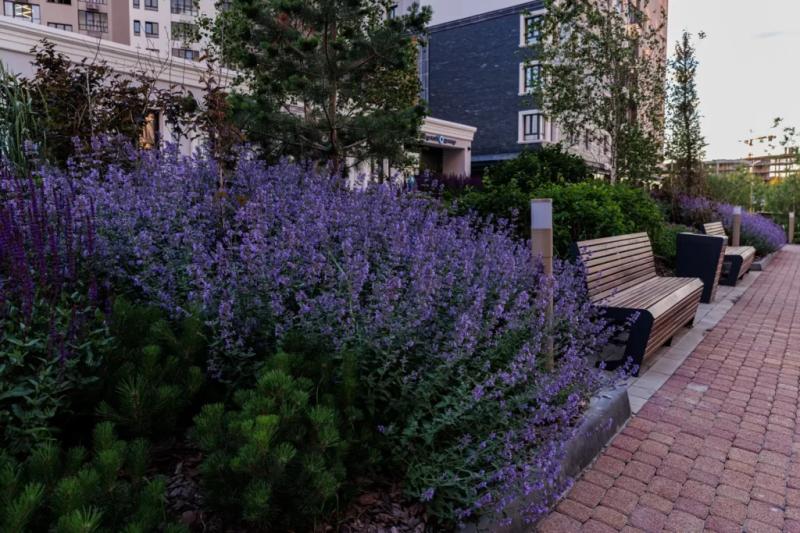 Современные тренды благоустройства в ЭНКО: Создание зеленой среды в городе. — Всеостройке.рф