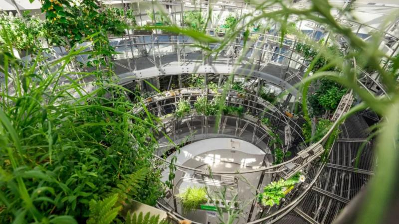 ТОП-5 самых красивых проектов озеленения в России — Всеостройке.рф