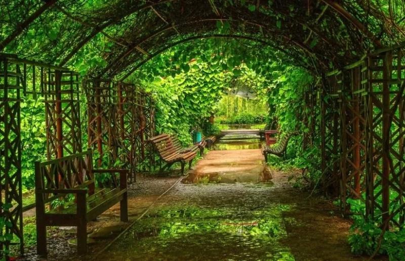 ТОП-5 самых красивых проектов озеленения в России — Всеостройке.рф