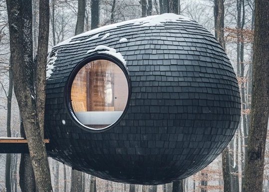 Британский архитектор предложил строить дома-сферы на деревьях