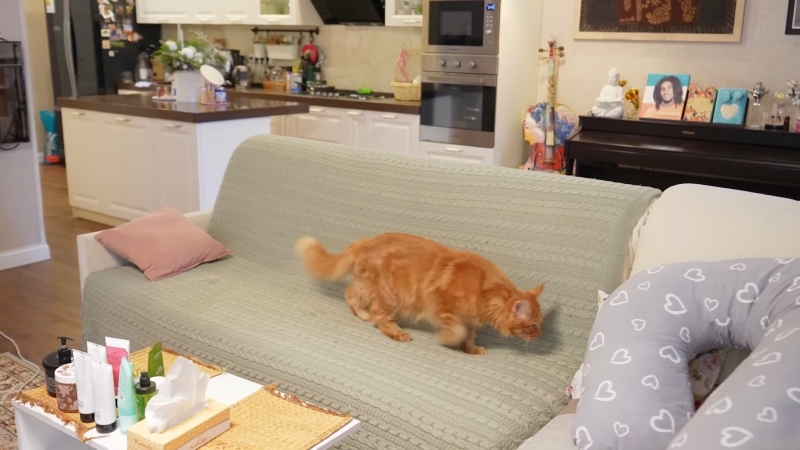 «Девчачий прованс» без натиска роскоши: где живет певица Бьянка — Всеостройке.рф