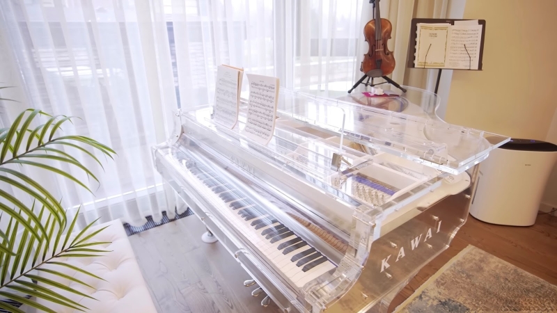 Дом с семнадцатью комнатами, зимним садом, гримерной и даже складом: где живёт Анита Цой — Всеостройке.рф