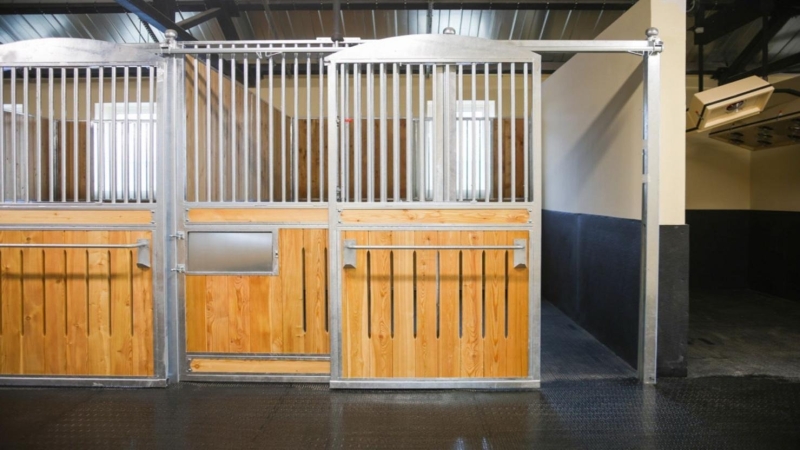 Возрождение Центрального Московского ипподрома: как обновляют старейший конно-спортивный комплекс России — Всеостройке.рф