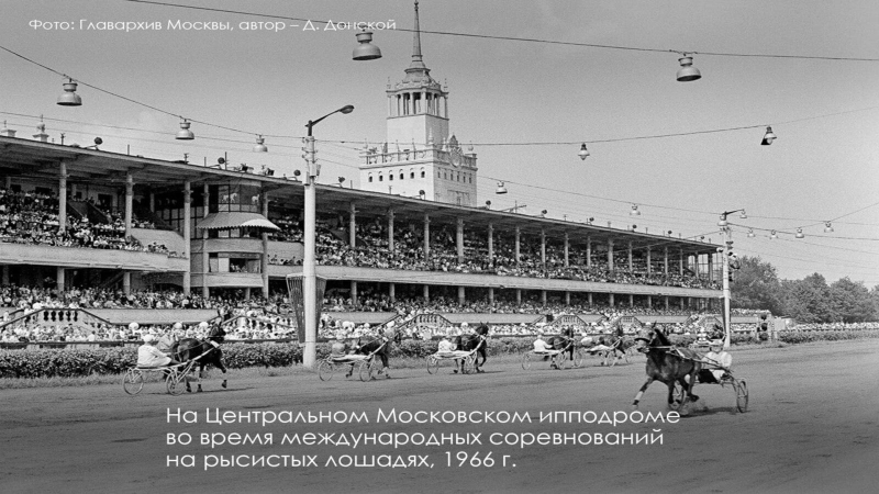 Возрождение Центрального Московского ипподрома: как обновляют старейший конно-спортивный комплекс России — Всеостройке.рф